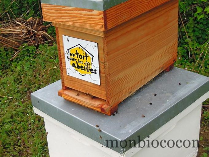 un-toit-pour-les-abeilles-0